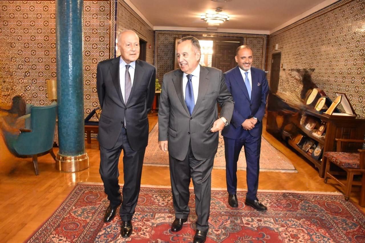 نبييل فهمى