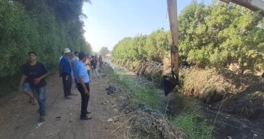 انتهاء أول أيام البحث عن تمساح شبرامنت بالجيزة دون العثور عليه.. تفاصيل انتهاء أول أيام البحث عن تمساح شبرامنت بالجيزة دون العثور عليه.. تفاصيل