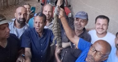 العثور على تمساح شبرامنت بالجيزة بعد تصفية مصرف الجنينة من المياه.. صور العثور على تمساح شبرامنت بالجيزة بعد تصفية مصرف الجنينة من المياه.. صور