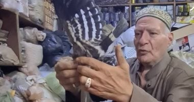 بيبيع سحالى مجففة وأظافر الشيطان.. أغرب عطار في مصر (فيديو)