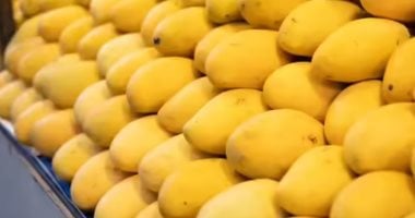 يوم المانجو.. تعرف على أغلى 5 أنواع فى العالم يوم المانجو.. تعرف على أغلى 5 أنواع فى العالم