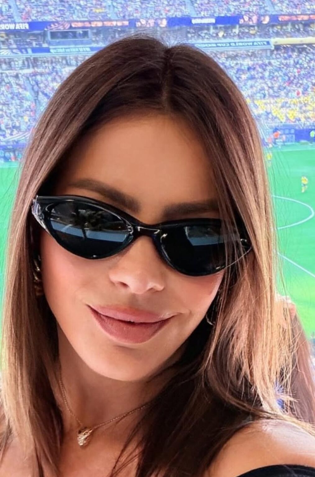 Sofia Vergara