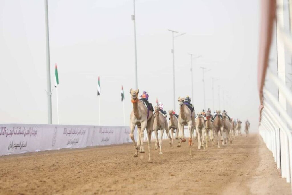 «الشاهينية» تتصدر الشوط الأول في«الفطامين» بمهرجان العين لسباقات الهجن Al Bayan