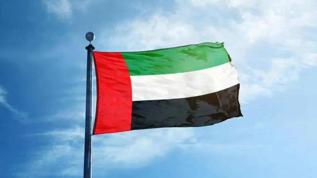 الإمارات تدين بشدة التفجير الإرهابي في دمشق