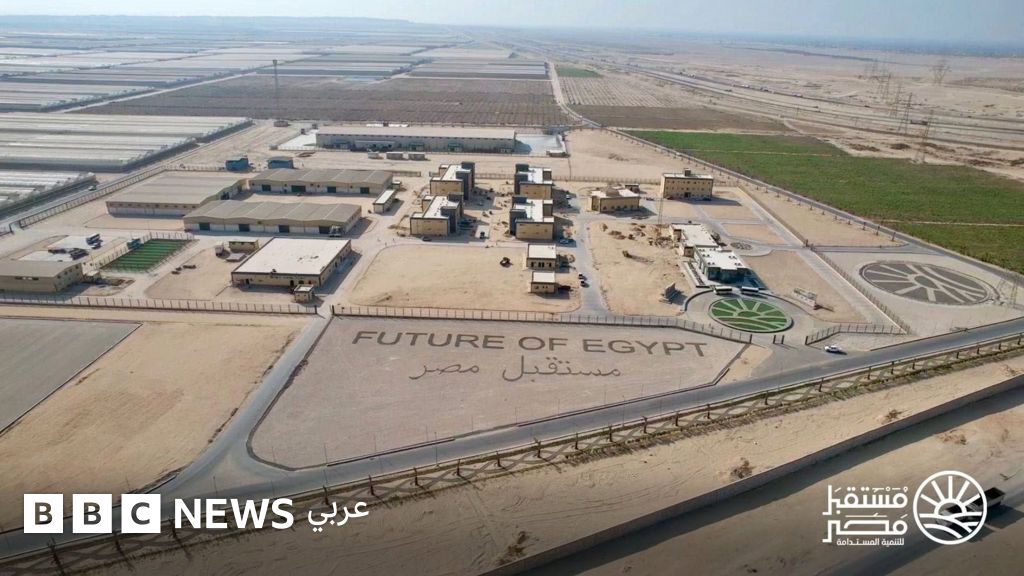 جهاز مستقبل مصر: انسحاب الدولة من الاقتصاد أم إعادة تشكيل لدورها؟ جهاز مستقبل مصر: انسحاب الدولة من الاقتصاد أم إعادة تشكيل لدورها؟