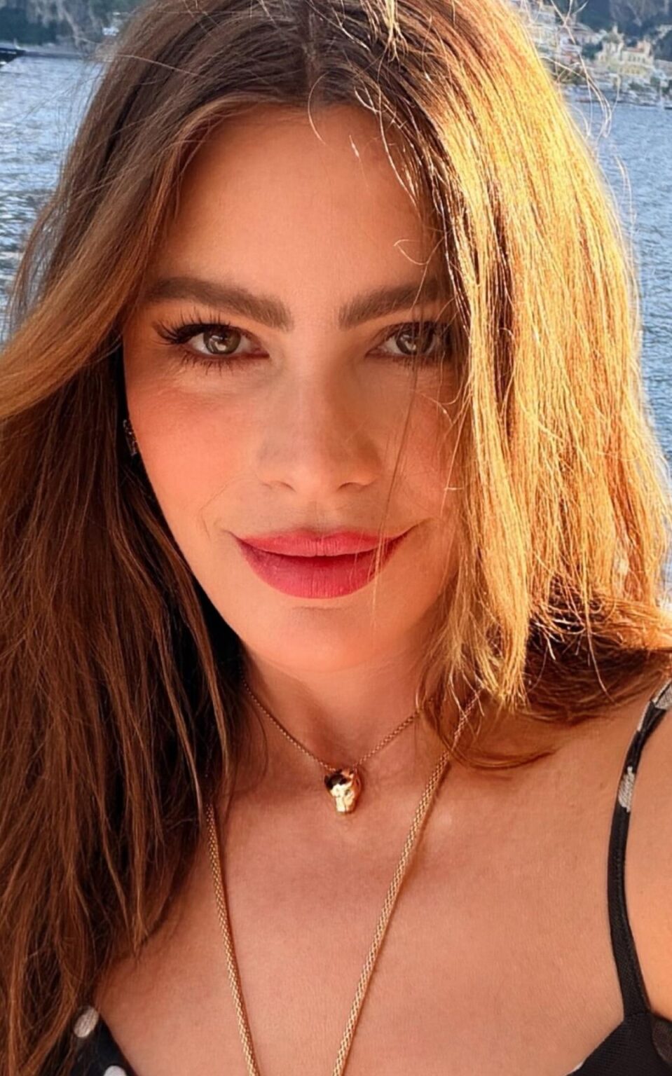 Sofia Vergara