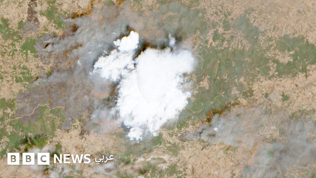 حرائق الجزائر: مساعٍ مستمرة للسيطرة على الحرائق في البلاد، وتوقيف أربعة متهمين بإضرام الحرائق في الغابات حرائق الجزائر: مساعٍ مستمرة للسيطرة على الحرائق في البلاد، وتوقيف أربعة متهمين بإضرام الحرائق في الغابات