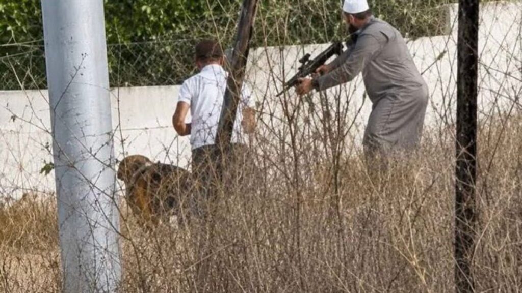 “هجوم ضد متنزهين أبرياء”.. كيف أعادت حسابات إسرائيلية صياغة رواية حادثة تل؟ | أخبار "هجوم ضد متنزهين أبرياء".. كيف أعادت حسابات إسرائيلية صياغة رواية حادثة تل؟ | أخبار