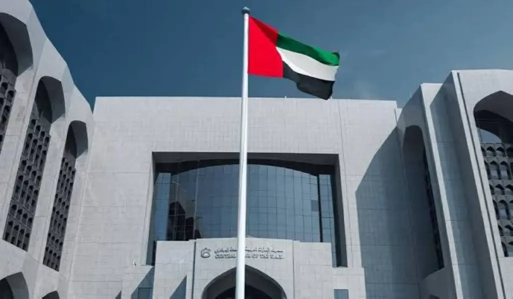 فيتش: سوق الدين الإماراتي يرسخ مكانته العالمية