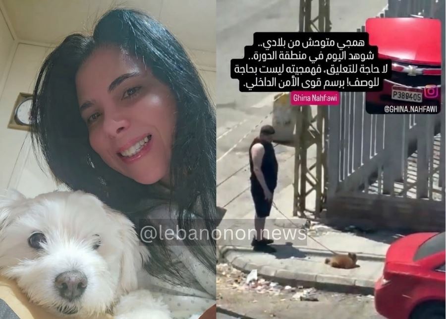 من وثّق الاعتداء صار موضع شكوى.. غنى نحفاوي تكشف كواليس قضية “جرو الدورة” ومصيره! من وثّق الاعتداء صار موضع شكوى.. غنى نحفاوي تكشف كواليس قضية "جرو الدورة" ومصيره!