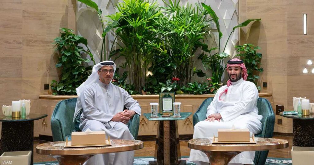 منصور بن زايد وولي عهد السعودية يبحثان العلاقات الأخوية منصور بن زايد وولي عهد السعودية يبحثان العلاقات الأخوية