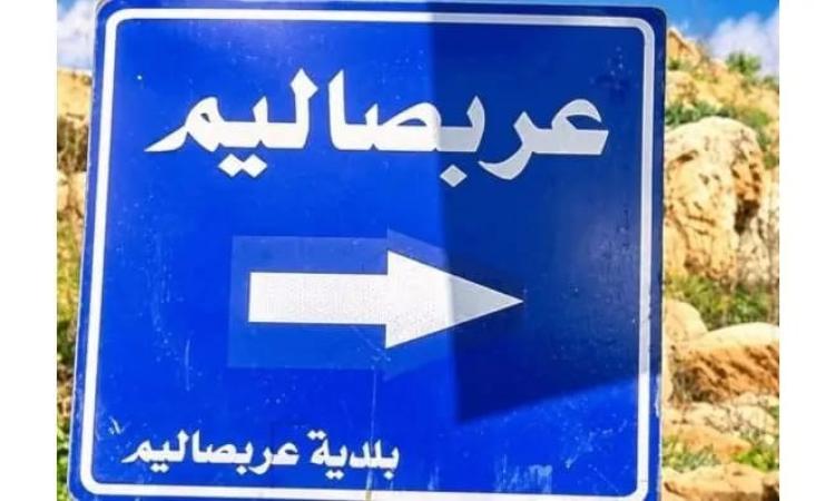 أهالي عربصاليم يطالبون بإنشاء مركز دائم للجيش ويؤكدون رغبتهم عودة الدولة post-title