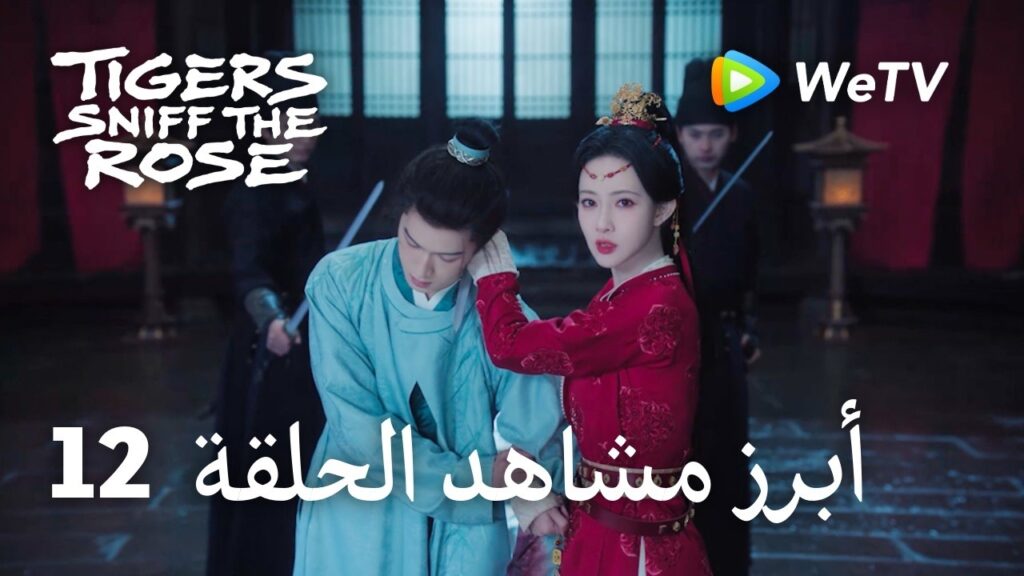 النمور تشم الوردة Tigers Sniff the Rose｜12-1 أبرز مشاهد الحلقة ｜لي يون روي，مينغ زي يي