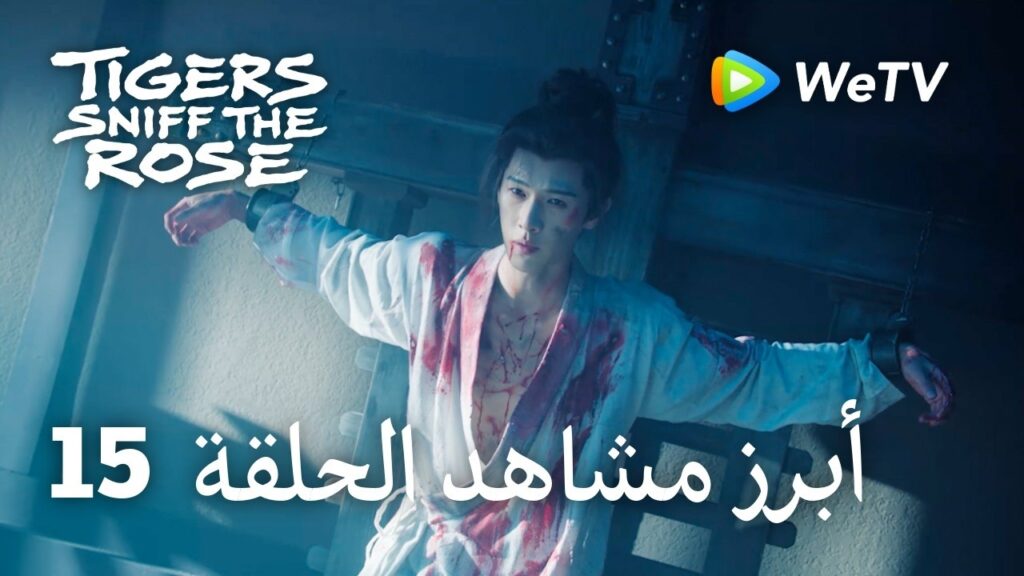 النمور تشم الوردة Tigers Sniff the Rose｜15-1 أبرز مشاهد الحلقة ｜لي يون روي，مينغ زي يي
