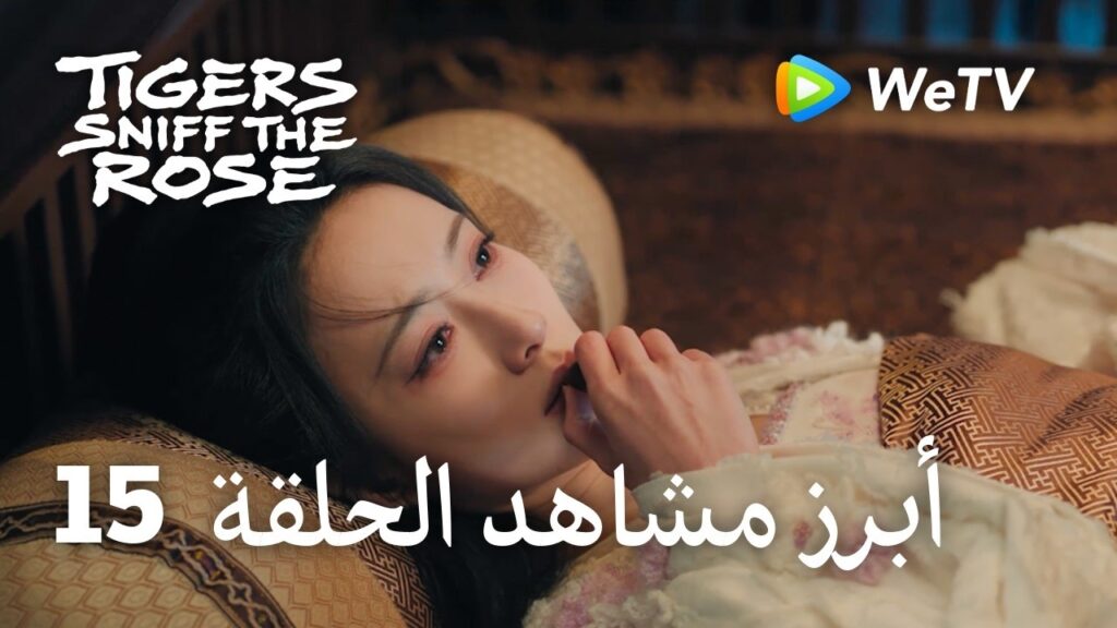 النمور تشم الوردة Tigers Sniff the Rose｜15-3 أبرز مشاهد الحلقة ｜لي يون روي，مينغ زي يي
