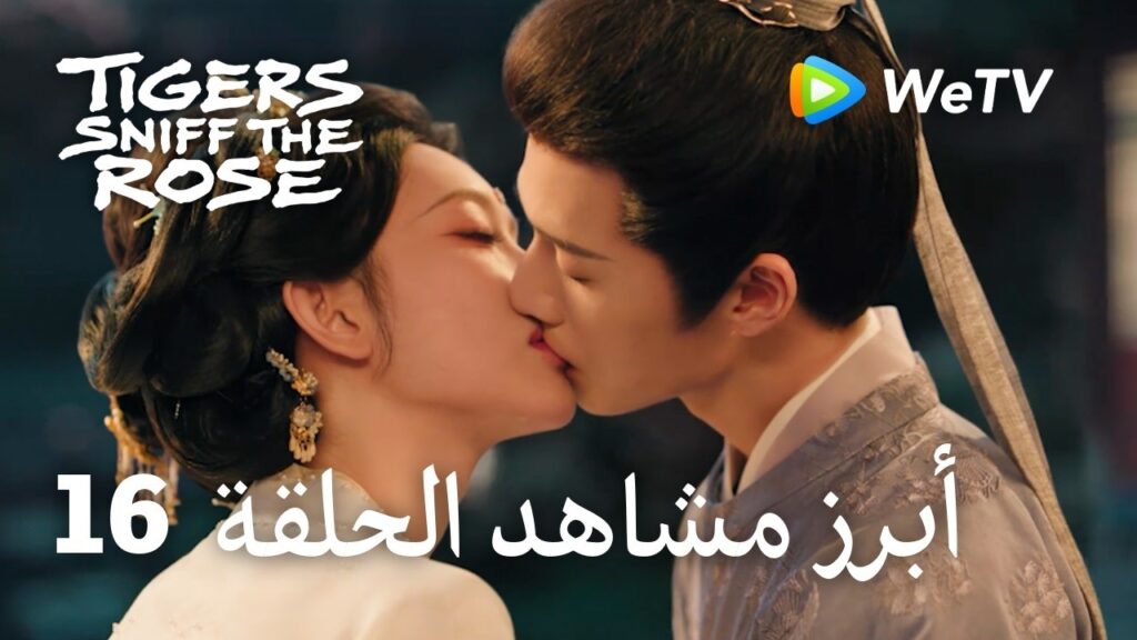 النمور تشم الوردة Tigers Sniff the Rose｜16-2 أبرز مشاهد الحلقة ｜لي يون روي，مينغ زي يي